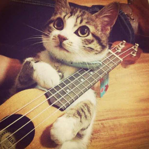 拉拉双女主韩漫
